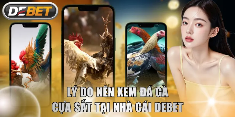 Lý do nên xem đá gà cựa sắt tại nhà cái DEBET