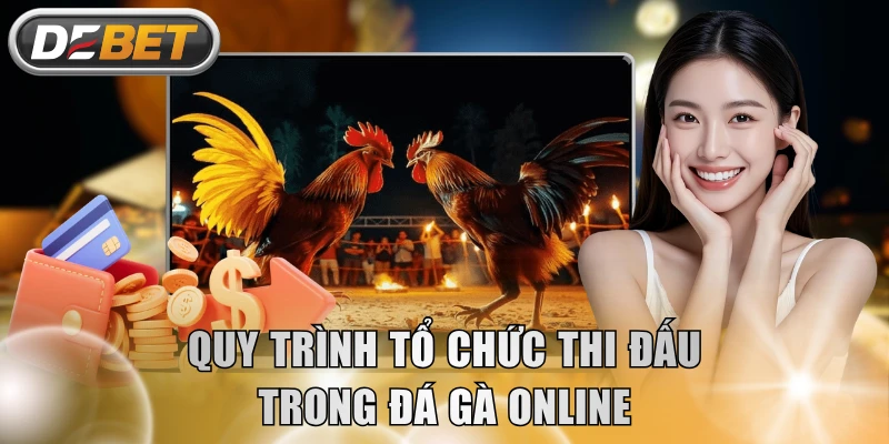 Quy trình tổ chức thi đấu trong đá gà online
