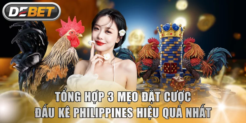 Tổng hợp 3 mẹo đặt cược đấu kê Philippines hiệu quả nhất